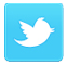 Follow Us on Twitter!